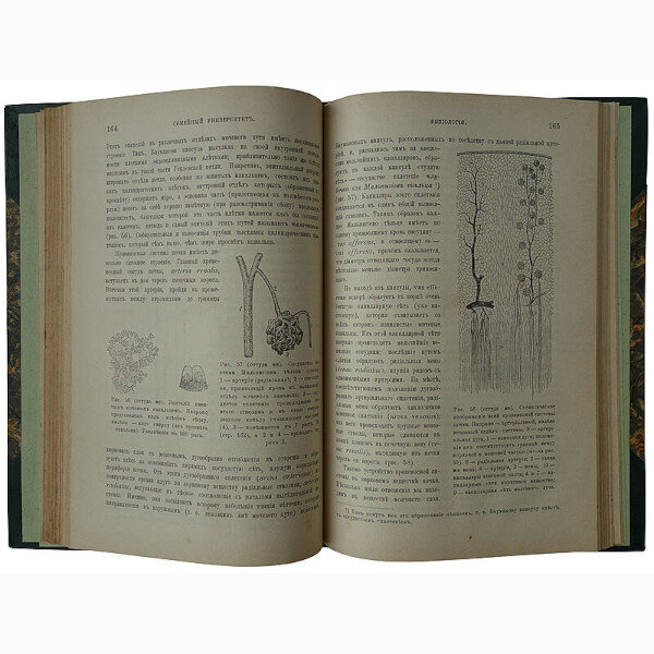 Гандин С.Б. Популярные лекции по физиологии (1903 год)