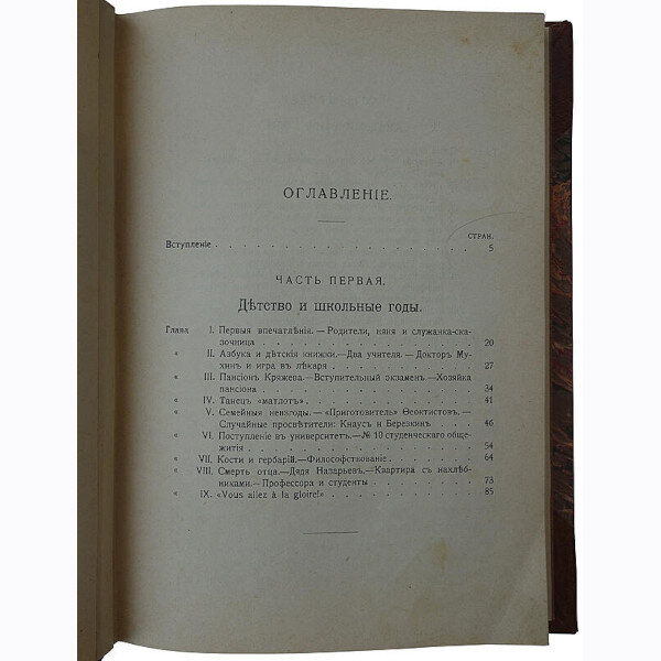 Авенариус В.П. Молодость славного русского хирурга и педагога Н.И. Пирогова (1909 год)
