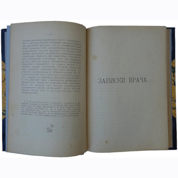 Вересаев В.В. Записки врача (1902 год)