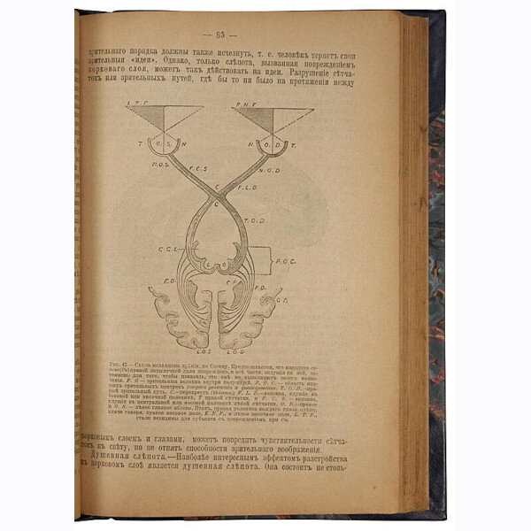 Вилльям Джемс. Научные основы психологии (1902 год)